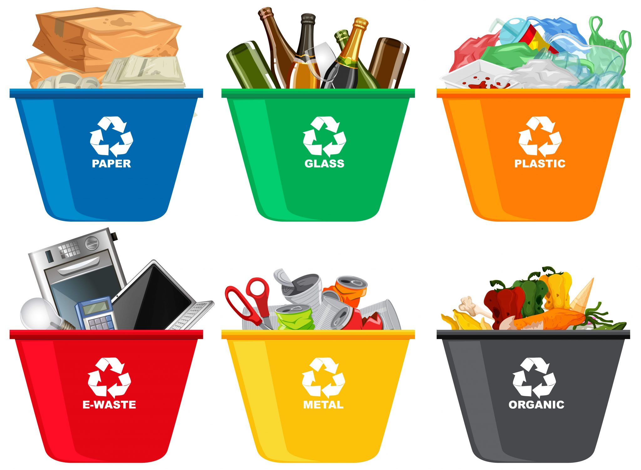 You are currently viewing What Goes Where: Proper Waste Disposal